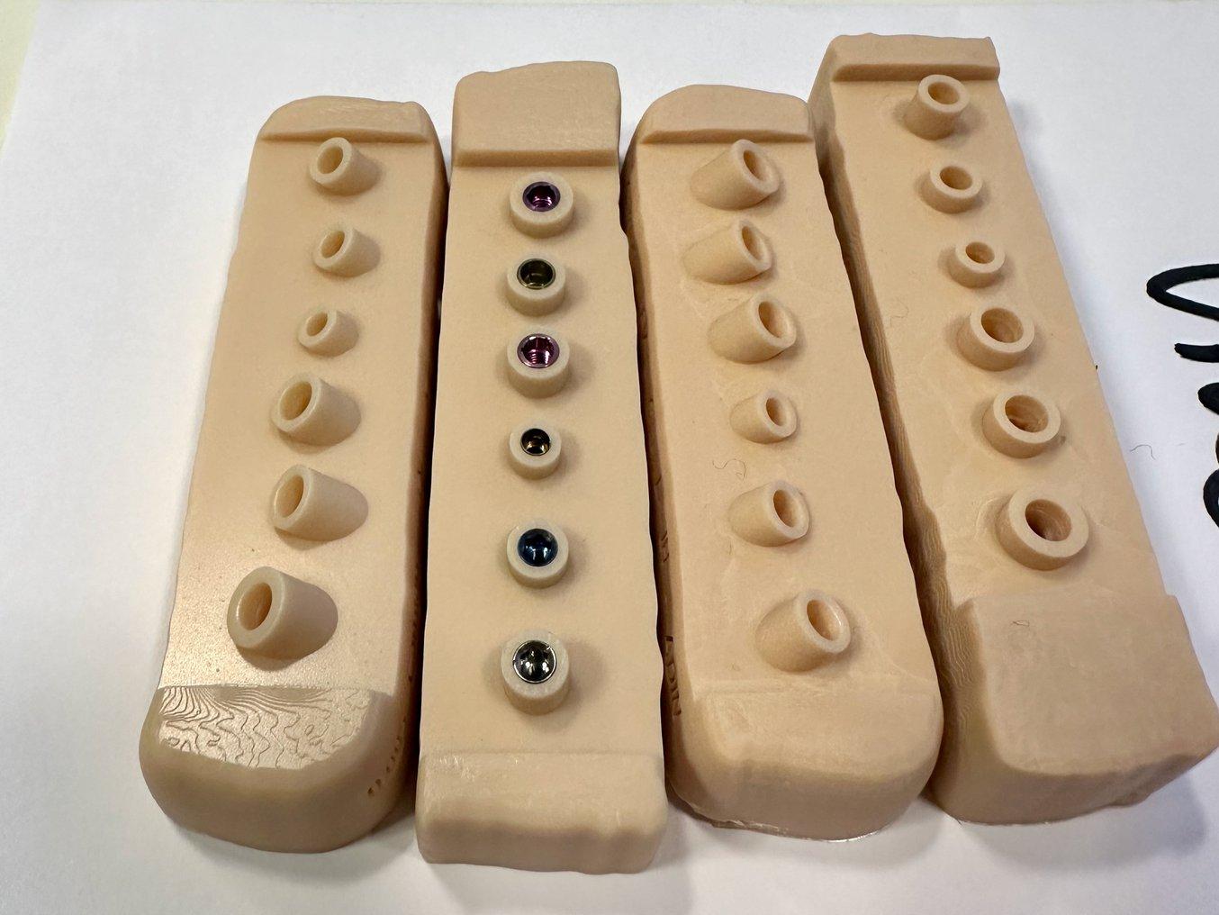 Four bars with holes for implants analogs in different tan resins