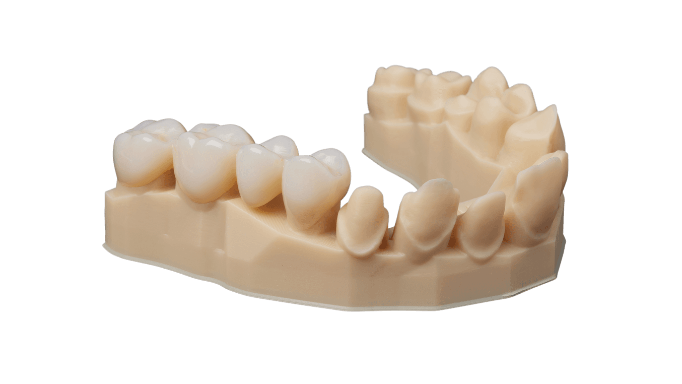 Premium Teeth Resin
