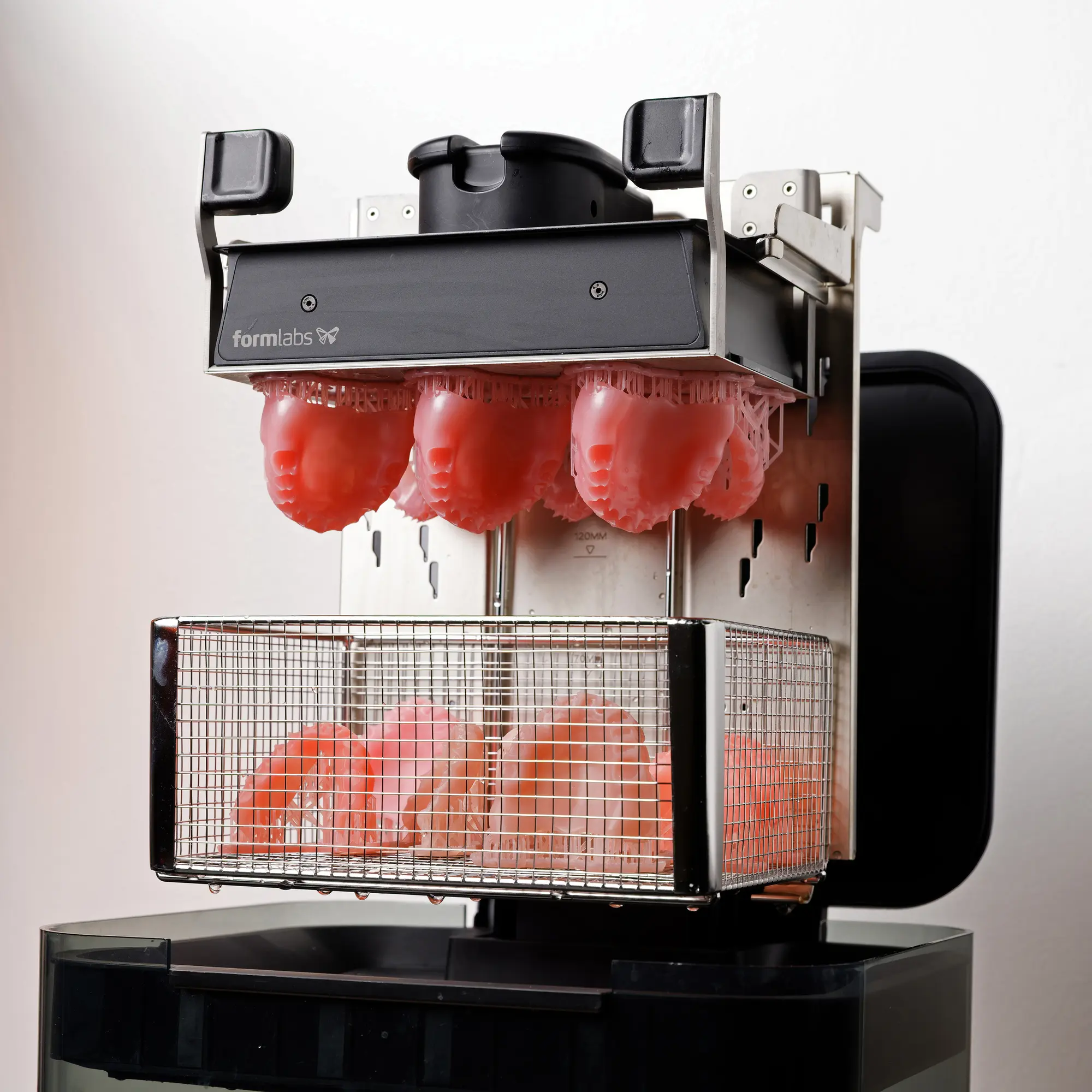 denture base resin v2
