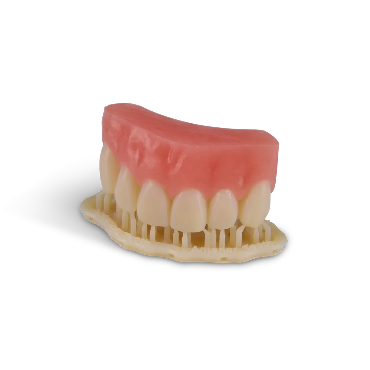 denture base v2 sample part