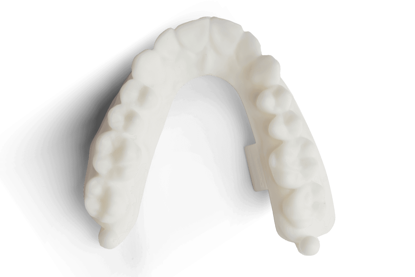 dental arch white