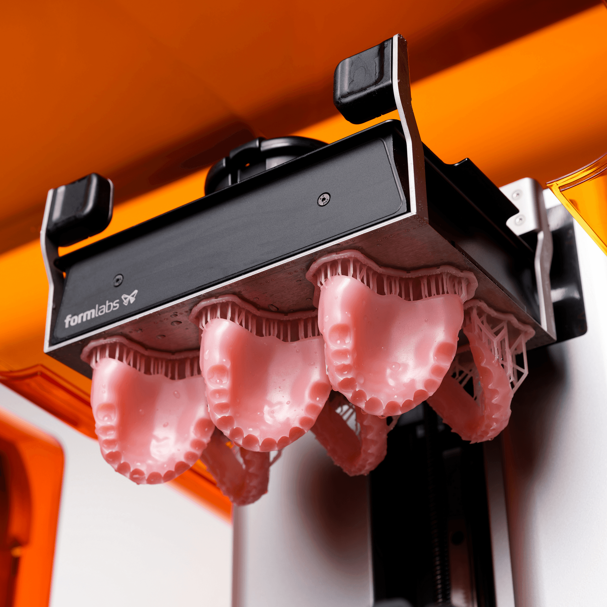 denture base resin v2