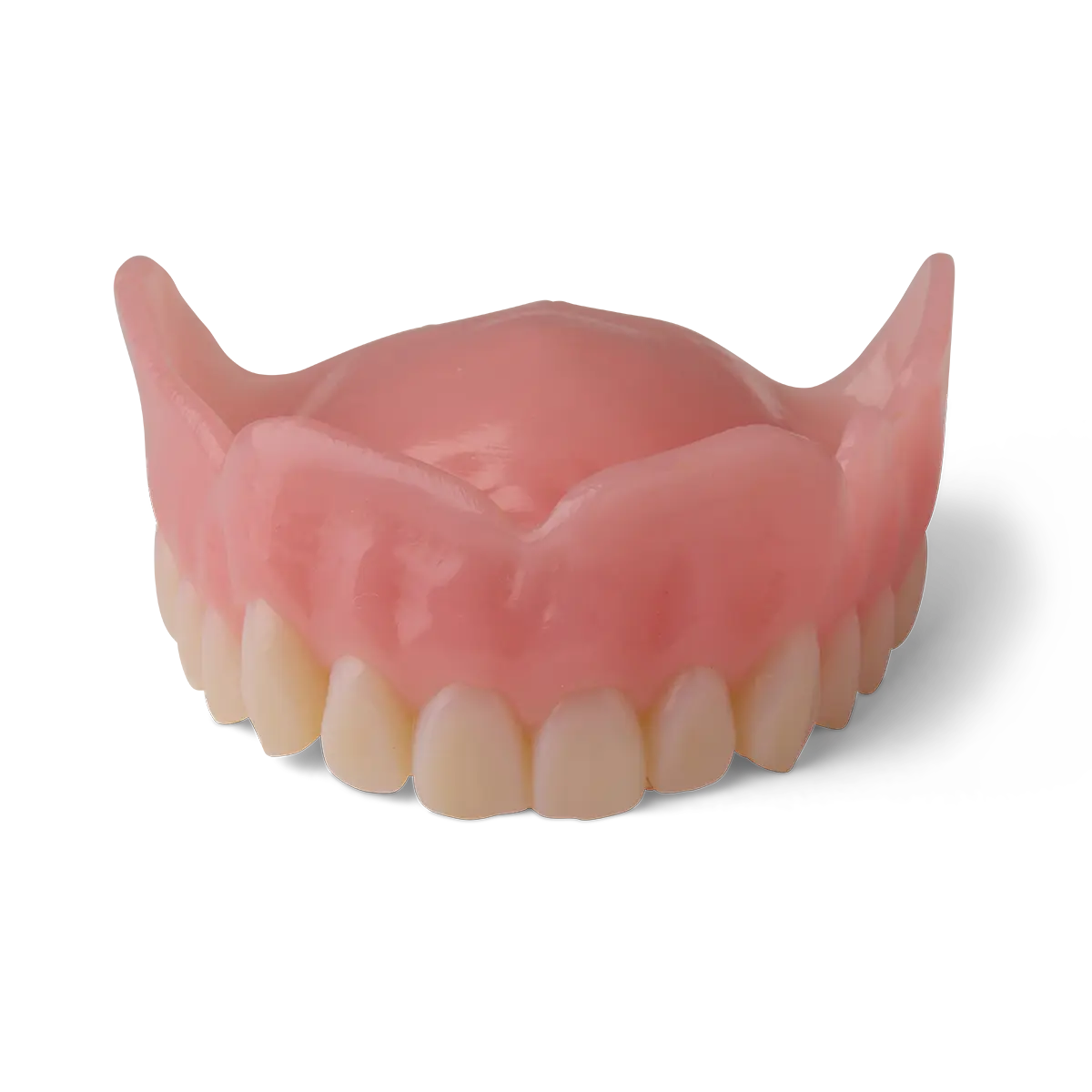 Denture Base Resin v2