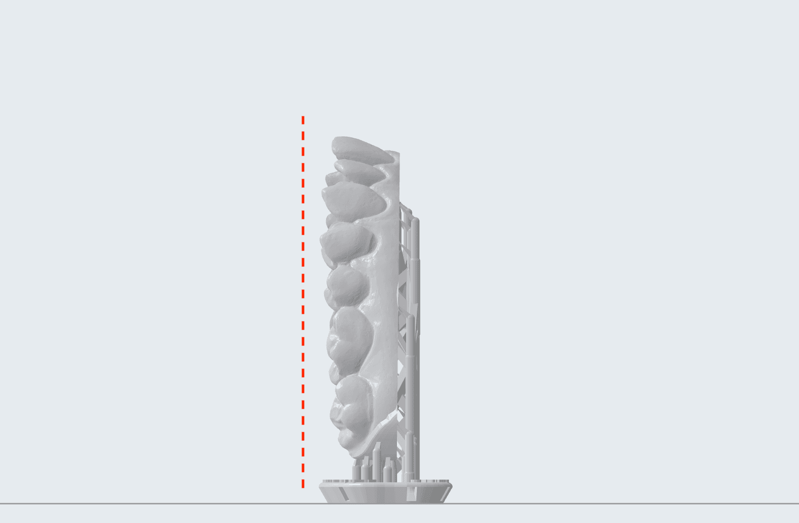Model oriented vertically