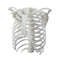 White Resin V4.1