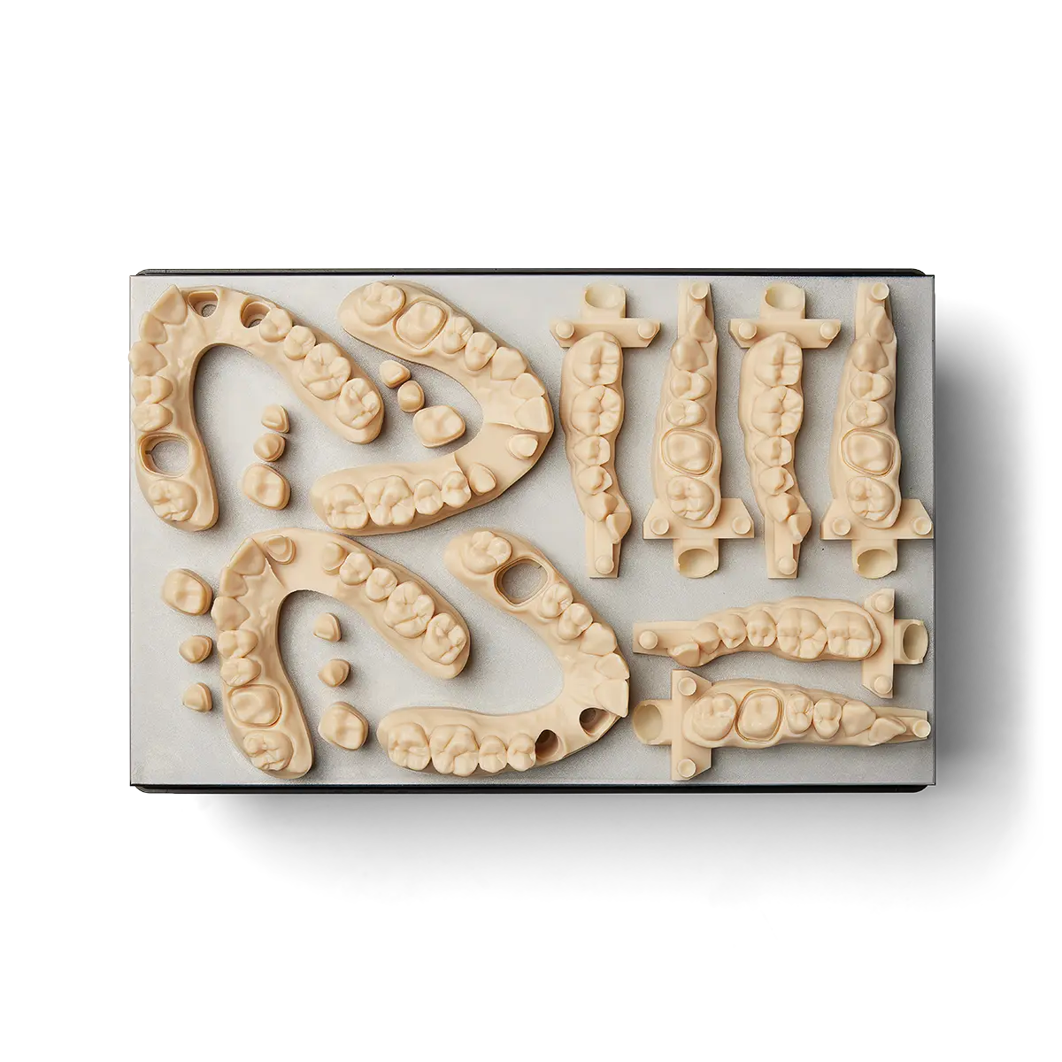 Modèle dentaire imprimé en 3D avec Precision Model Resin
