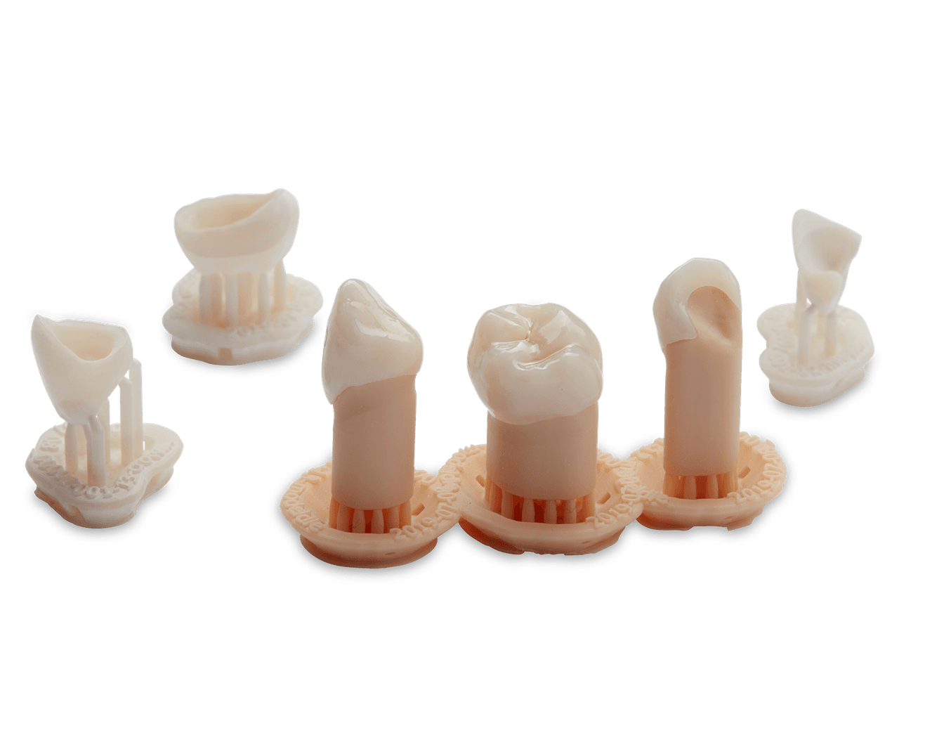 Individual tooth colored permanent crowns
