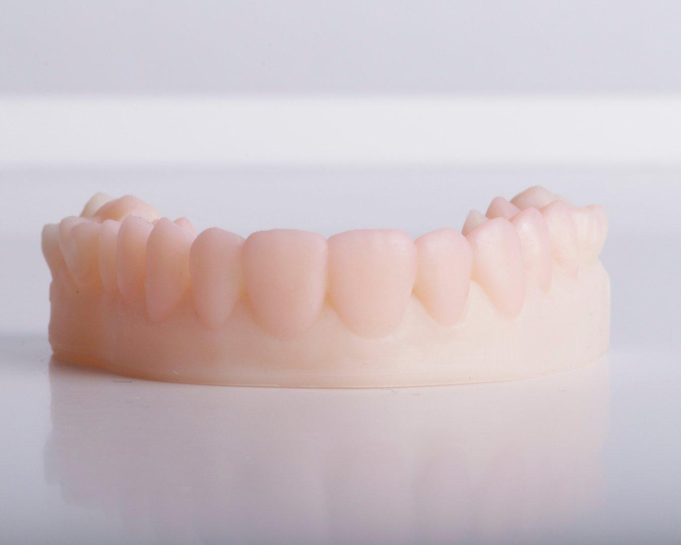 dental model 3d-printed with Model resin