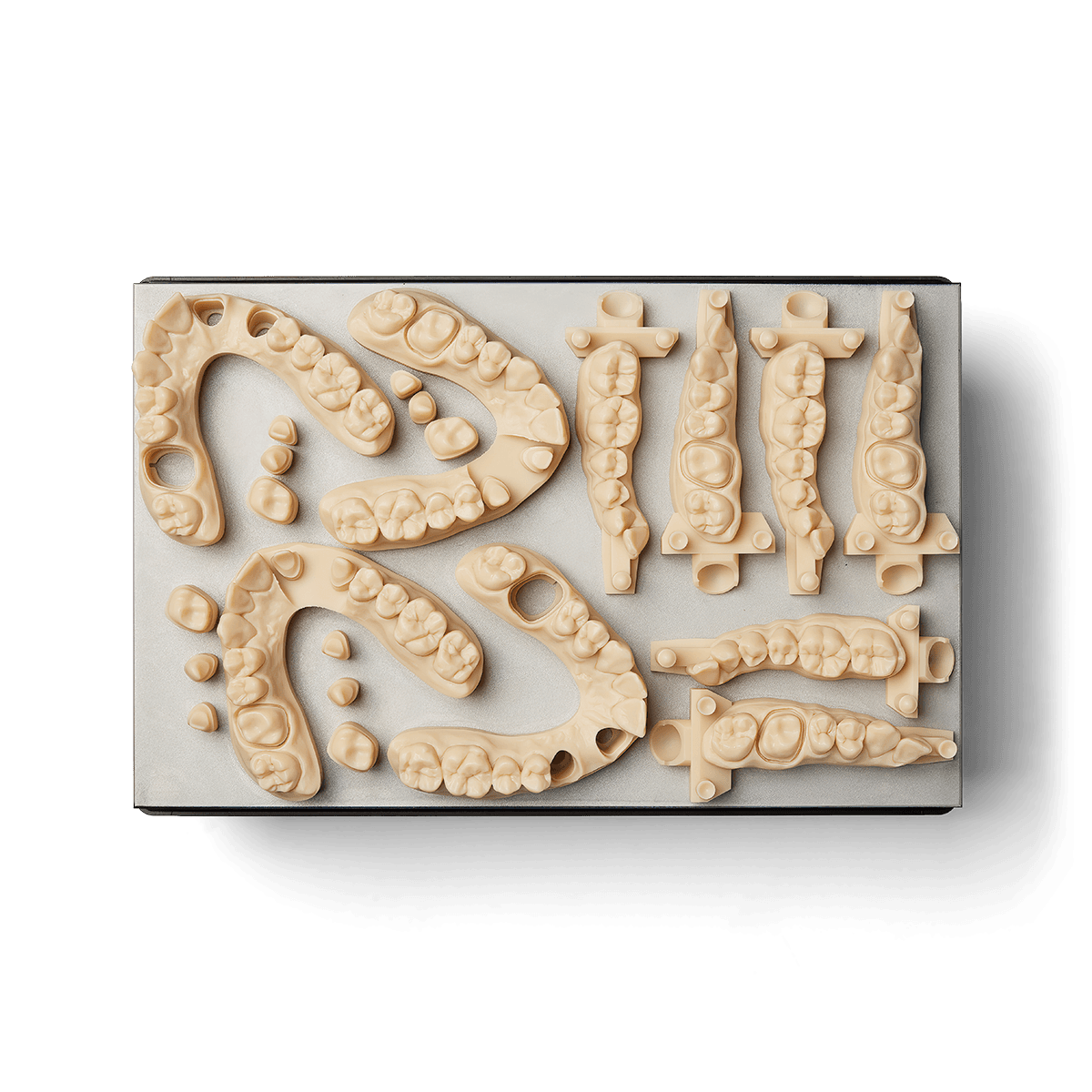 Modello dentale stampato in 3D con la Precision Model Resin