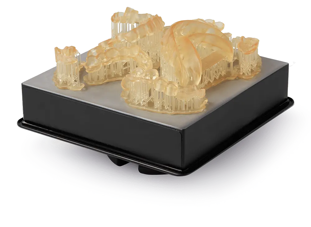 Dental SG