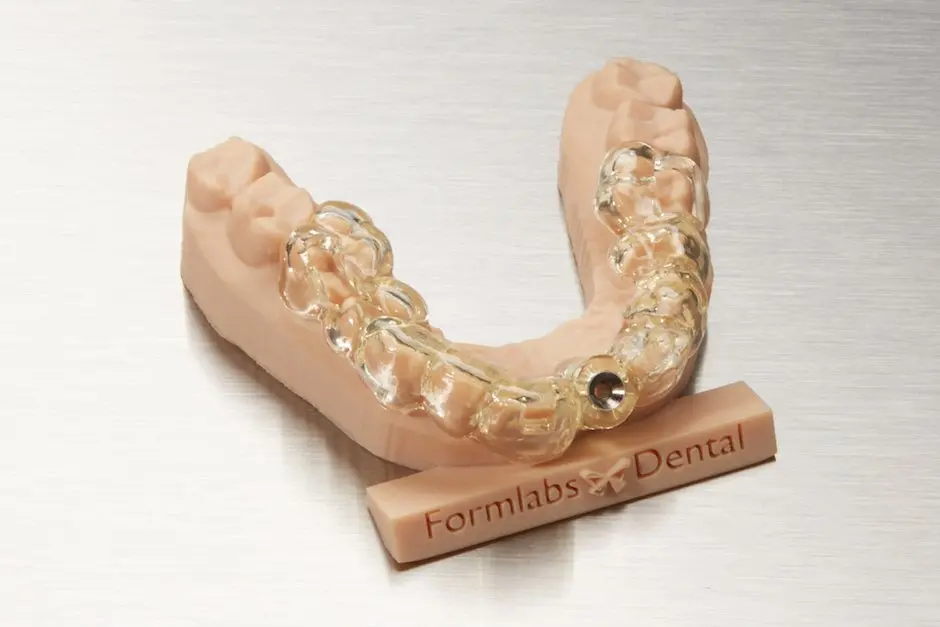 Dental Model