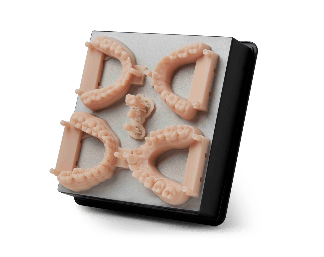 Model Resin dental models on build platform