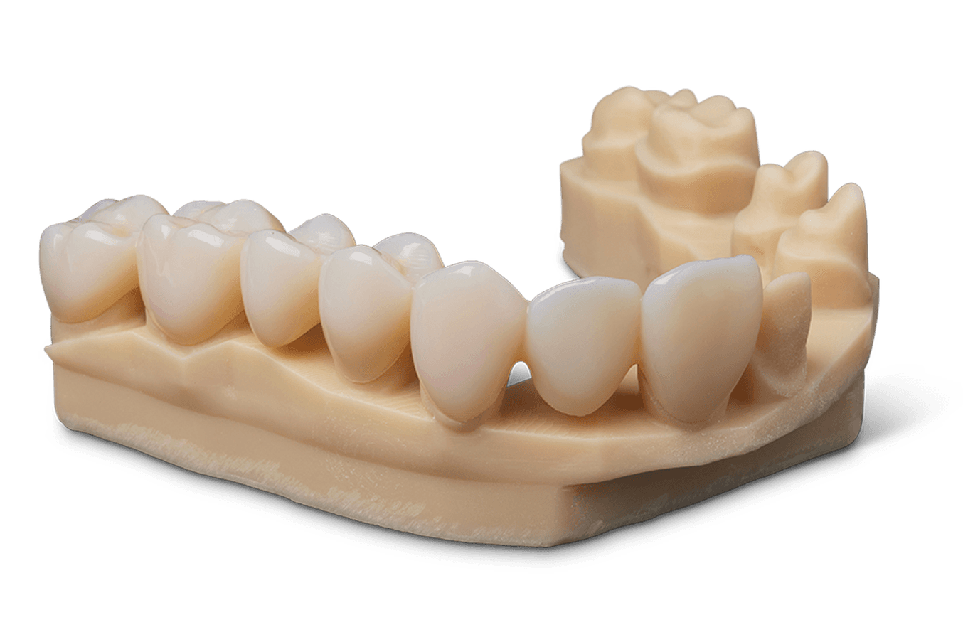 Premium Teeth Resin