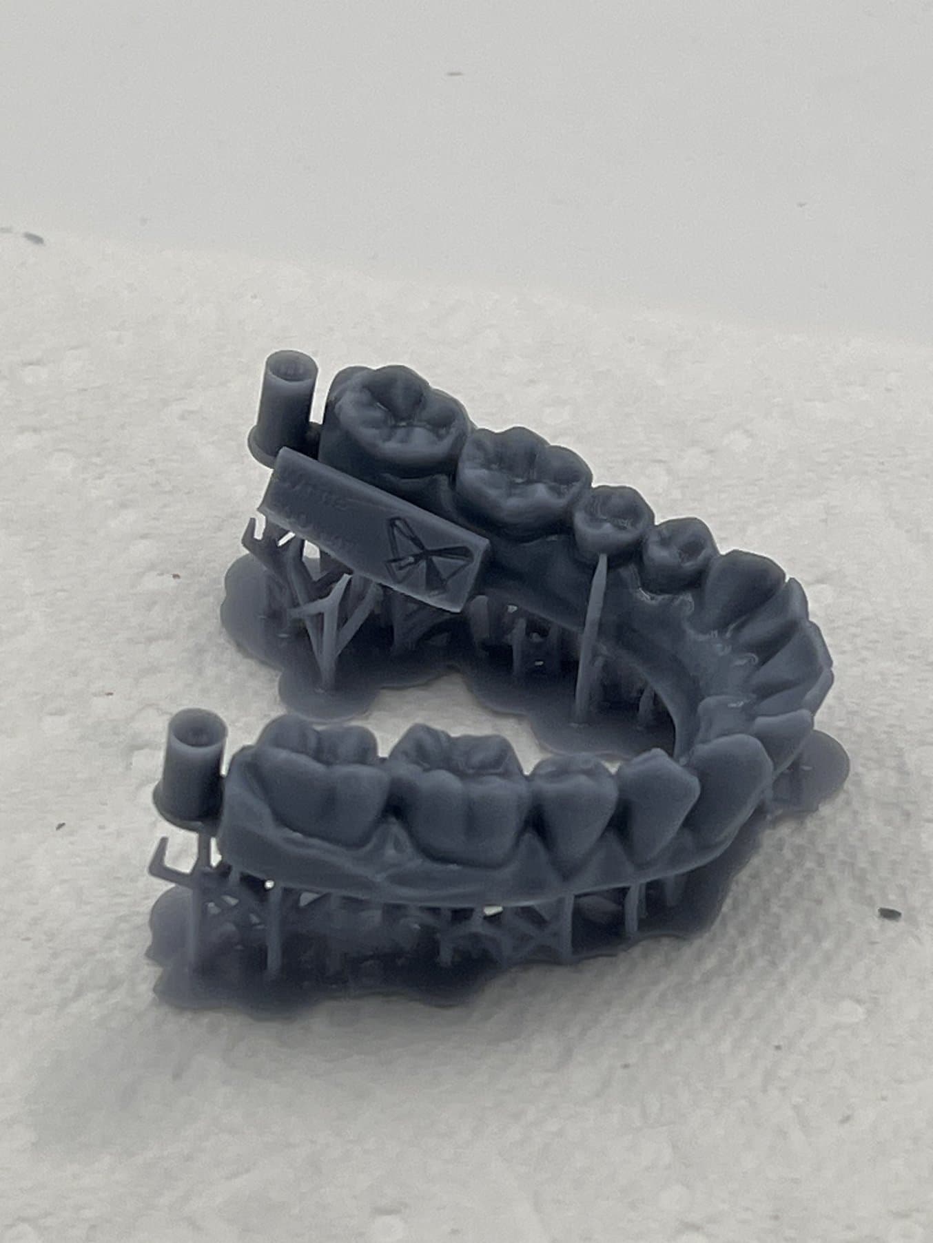 3D printed grey dental model