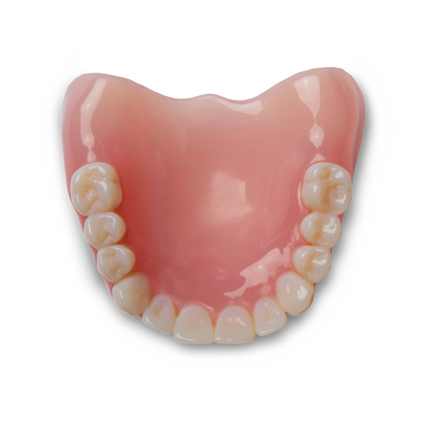 Formlabs Premium Teeth – Septillion Co., Ltd.
